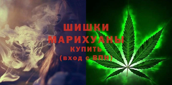 молекула духа Нязепетровск