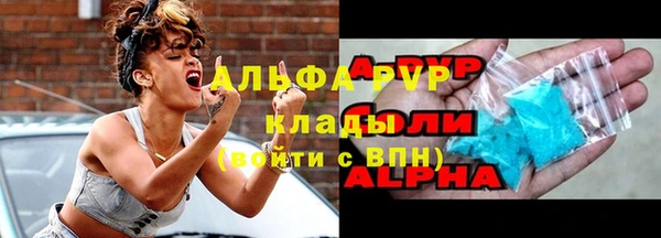 шишки Новозыбков