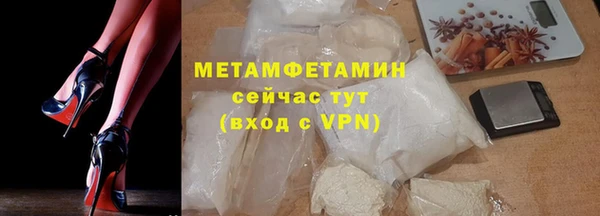 шишки Новозыбков