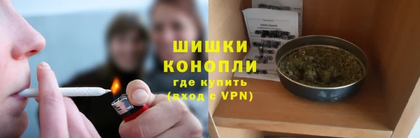 ALPHA PVP Нягань