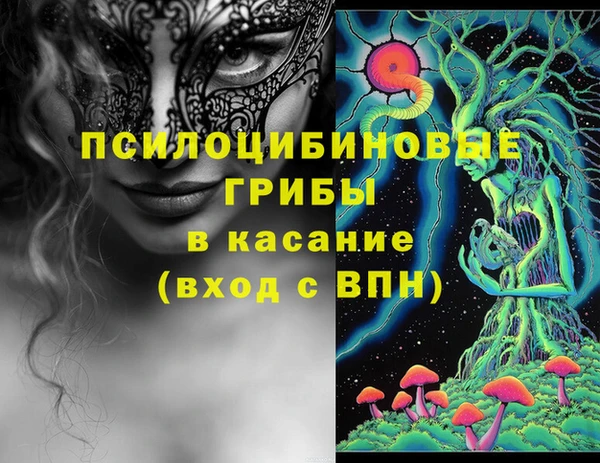 ALPHA PVP Нягань