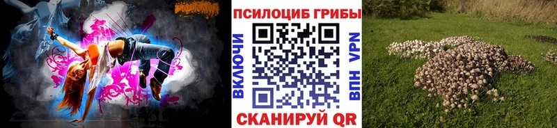 Галлюциногенные грибы мицелий  Купить закладки  Ртищево 