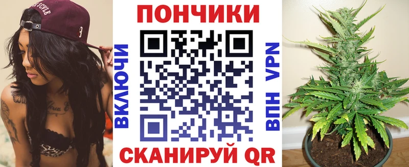 Бошки Шишки планчик  Купить закладки  Ртищево 